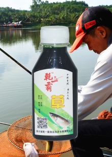 草鱼